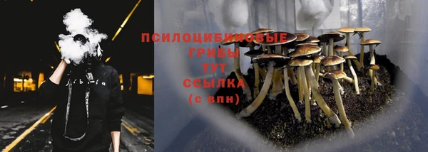 ALPHA-PVP Абинск