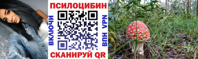Галлюциногенные грибы прущие грибы  Усть-Катав 